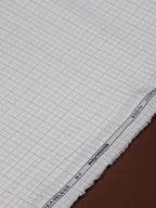 Gentle Mint by Raymond (Unstitched Shirting Fabric) - Detailory
