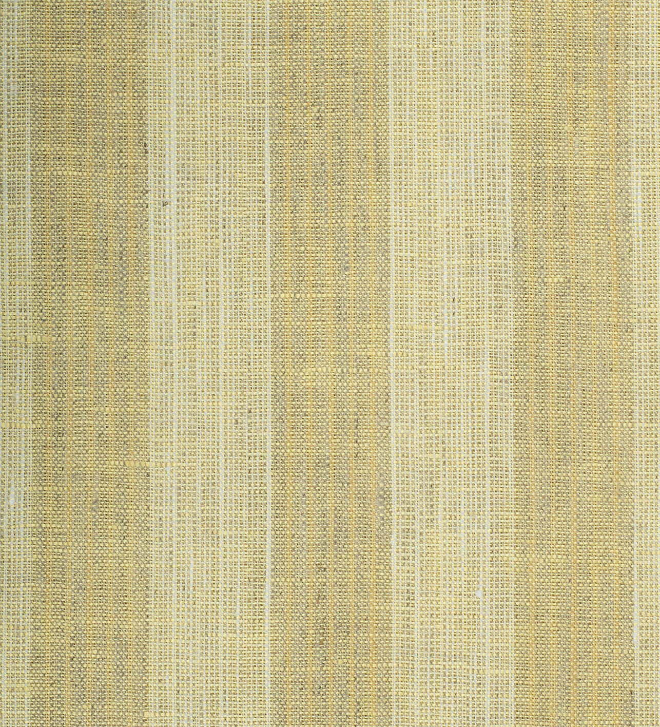 Golden Wheat Stripe by Linen Club (Unstitched Shirting and Kurta Fabric)
