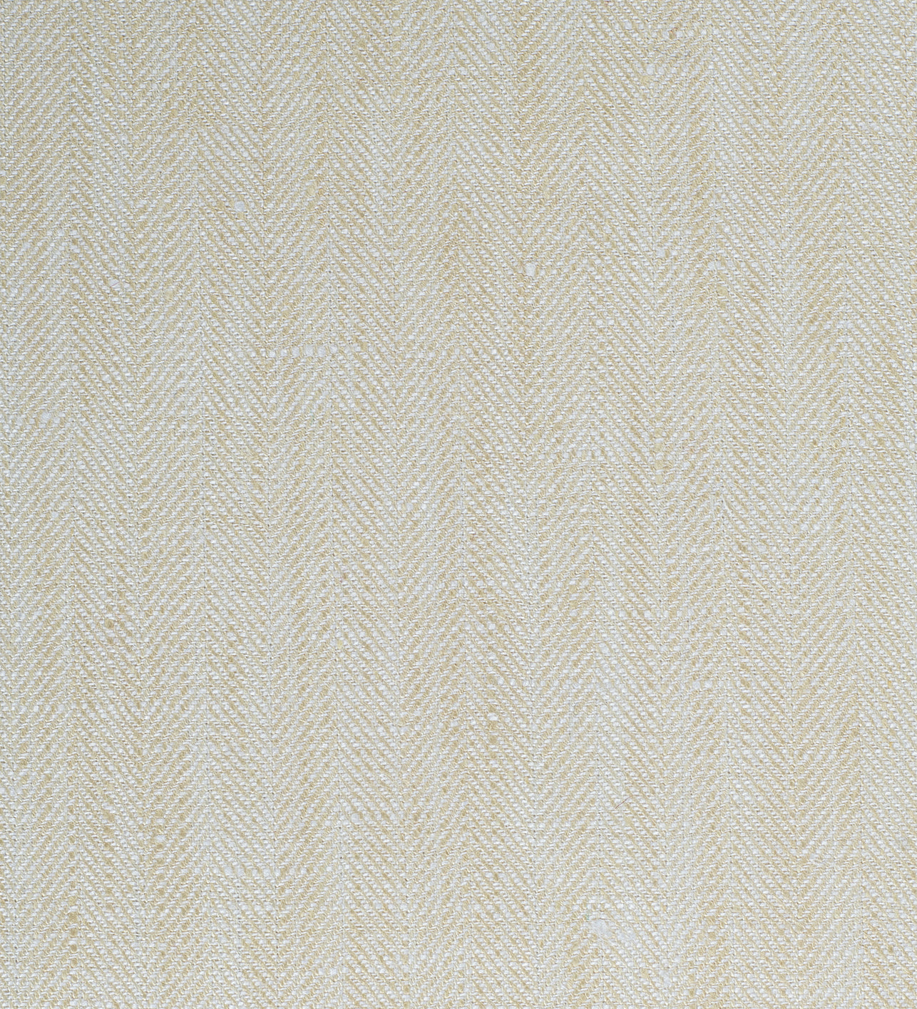 Ivory Élan (Unstitched Shirting and Kurta Fabric)